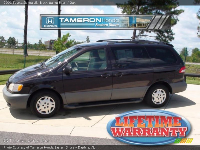 Black Walnut Pearl / Oak 2001 Toyota Sienna LE