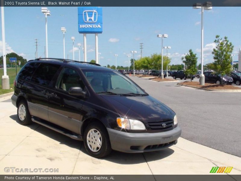 Black Walnut Pearl / Oak 2001 Toyota Sienna LE