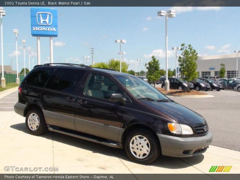 Black Walnut Pearl / Oak 2001 Toyota Sienna LE