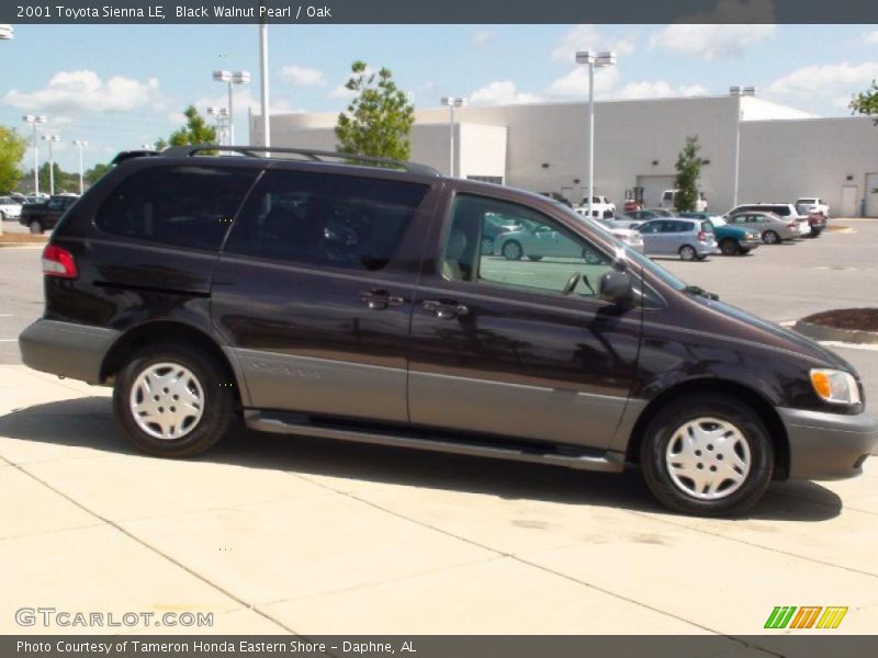 Black Walnut Pearl / Oak 2001 Toyota Sienna LE