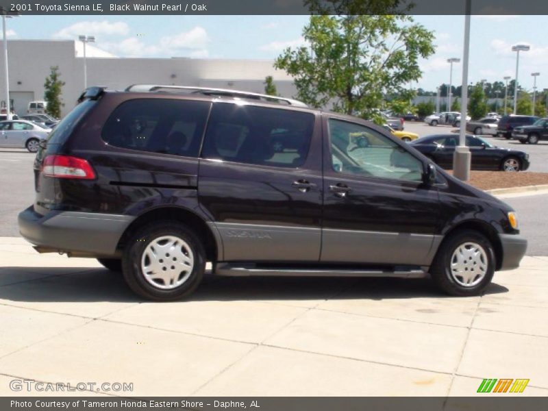 Black Walnut Pearl / Oak 2001 Toyota Sienna LE