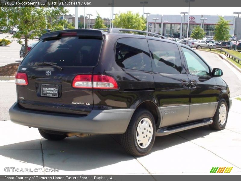 Black Walnut Pearl / Oak 2001 Toyota Sienna LE