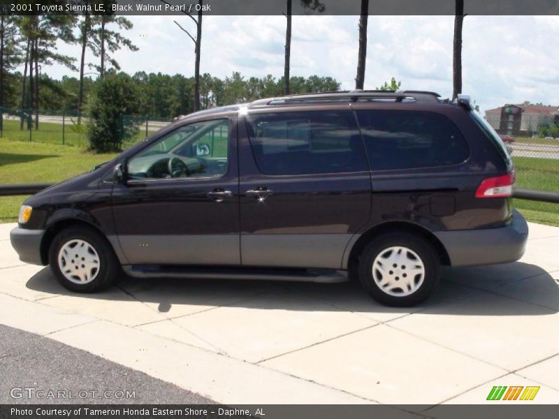Black Walnut Pearl / Oak 2001 Toyota Sienna LE