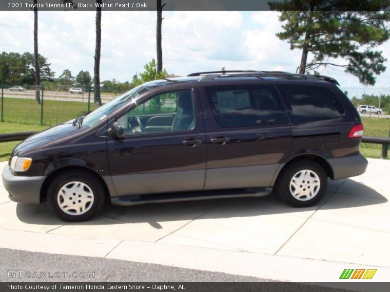 Black Walnut Pearl / Oak 2001 Toyota Sienna LE