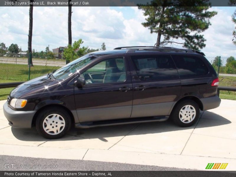 Black Walnut Pearl / Oak 2001 Toyota Sienna LE