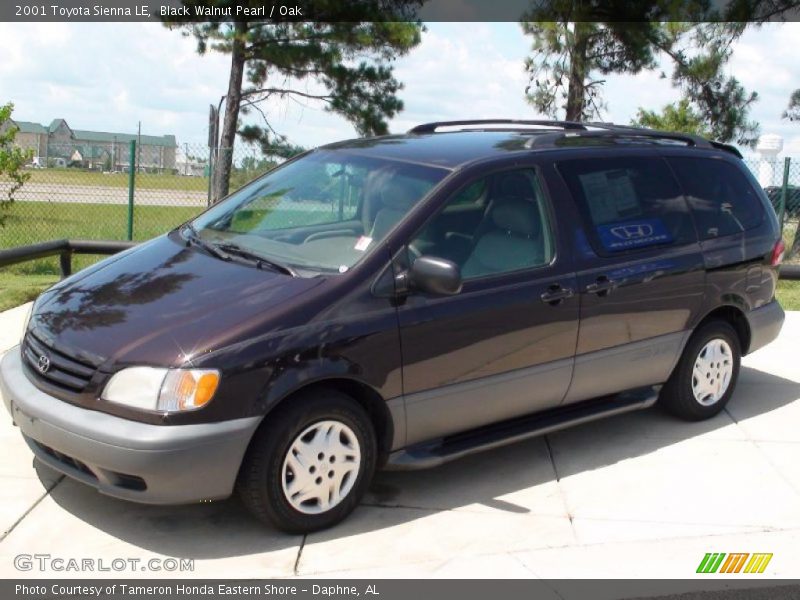 Black Walnut Pearl / Oak 2001 Toyota Sienna LE