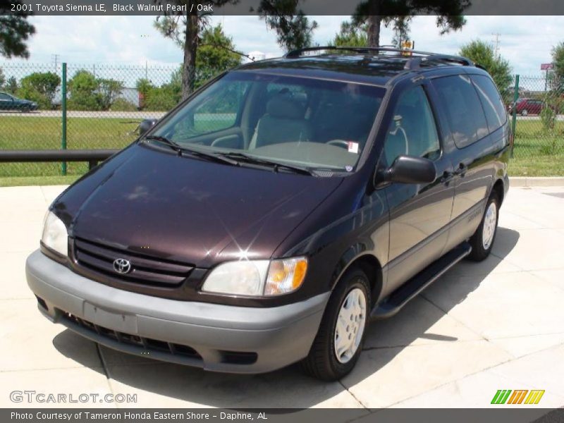 Black Walnut Pearl / Oak 2001 Toyota Sienna LE