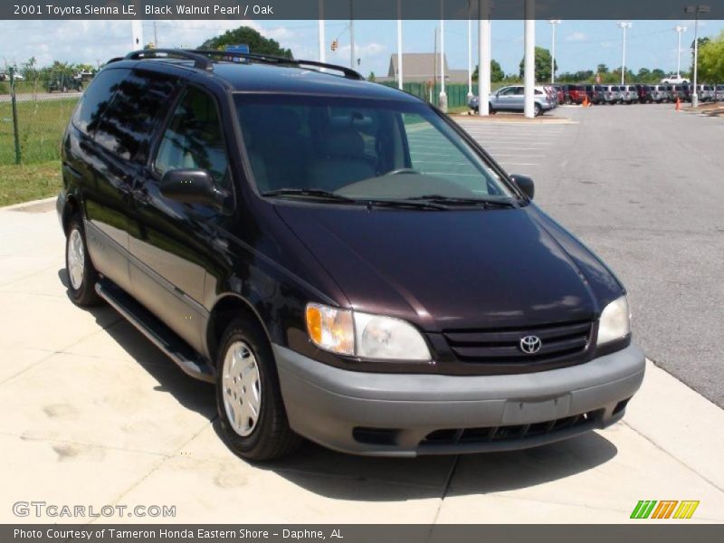 Black Walnut Pearl / Oak 2001 Toyota Sienna LE