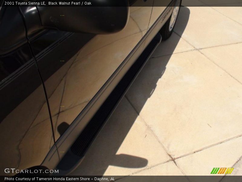 Black Walnut Pearl / Oak 2001 Toyota Sienna LE