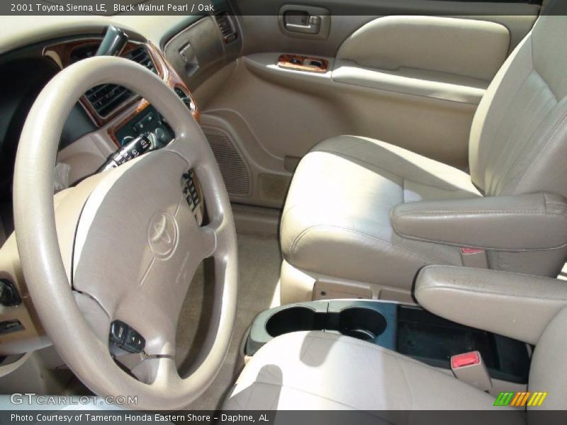 Black Walnut Pearl / Oak 2001 Toyota Sienna LE
