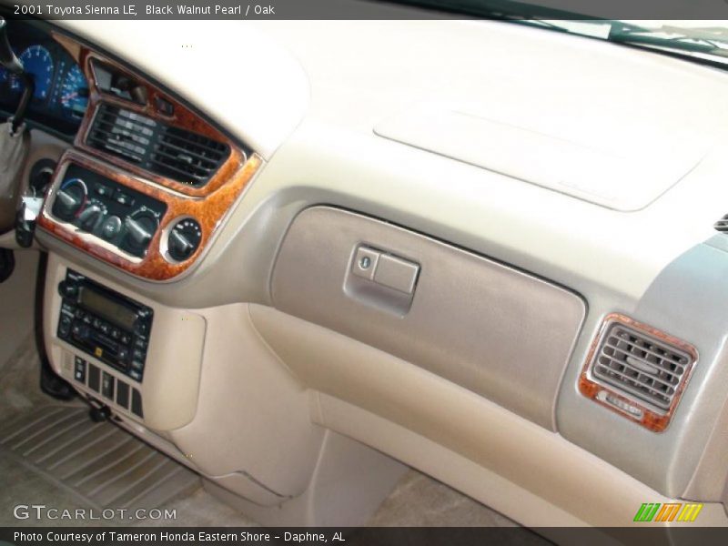 Black Walnut Pearl / Oak 2001 Toyota Sienna LE