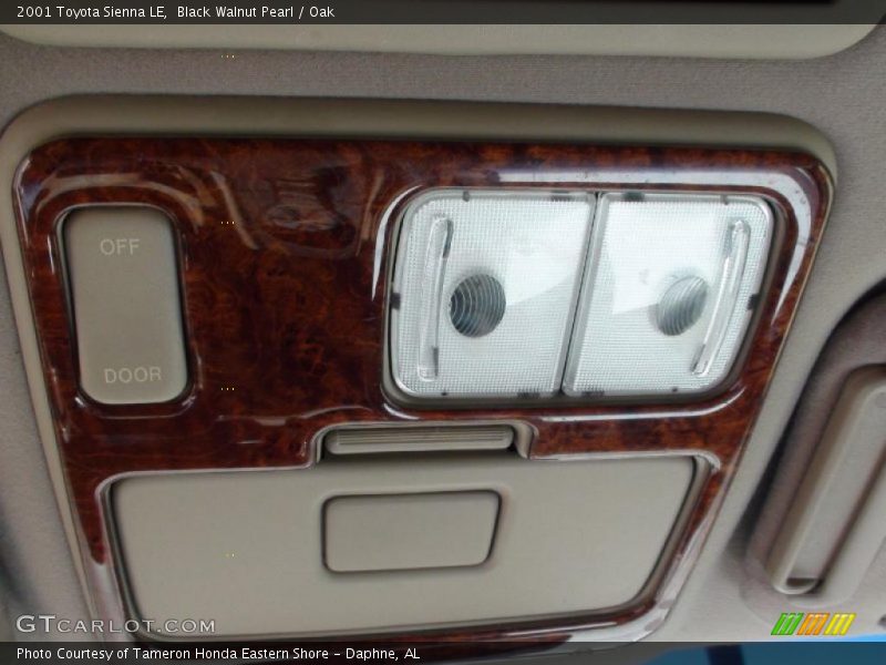 Black Walnut Pearl / Oak 2001 Toyota Sienna LE