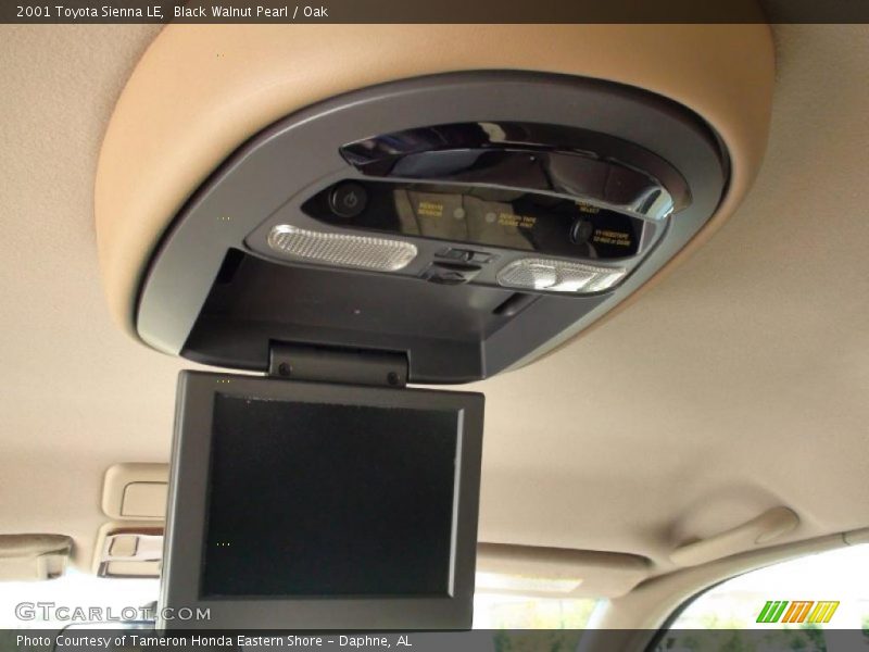 Black Walnut Pearl / Oak 2001 Toyota Sienna LE
