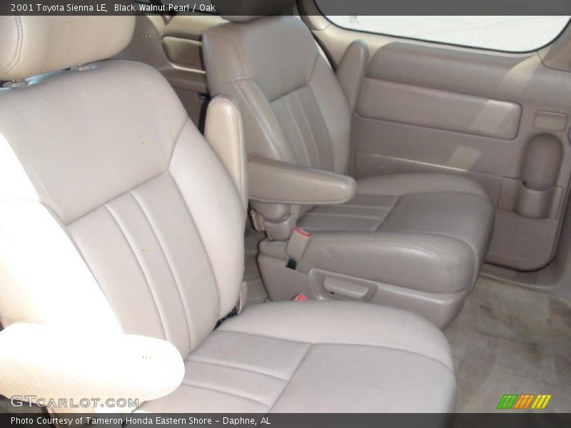Black Walnut Pearl / Oak 2001 Toyota Sienna LE