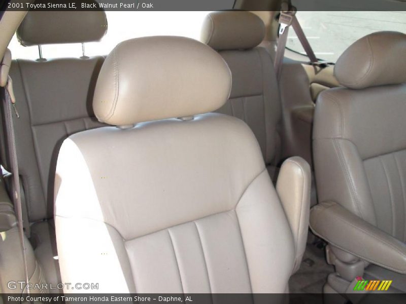 Black Walnut Pearl / Oak 2001 Toyota Sienna LE