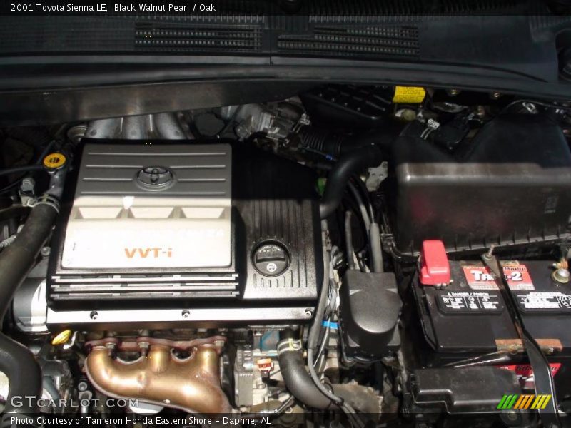 Black Walnut Pearl / Oak 2001 Toyota Sienna LE