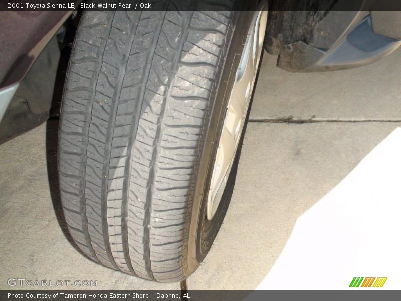 Black Walnut Pearl / Oak 2001 Toyota Sienna LE
