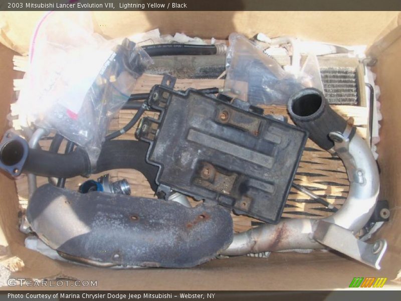 Lightning Yellow / Black 2003 Mitsubishi Lancer Evolution VIII