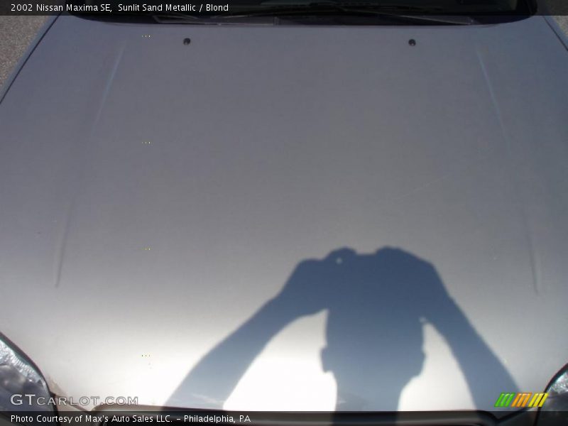 Sunlit Sand Metallic / Blond 2002 Nissan Maxima SE