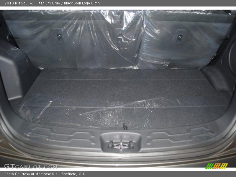 Titanium Gray / Black Soul Logo Cloth 2010 Kia Soul +