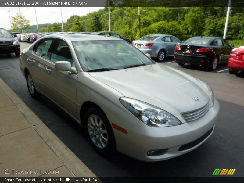 Alabaster Metallic / Ivory 2002 Lexus ES 300