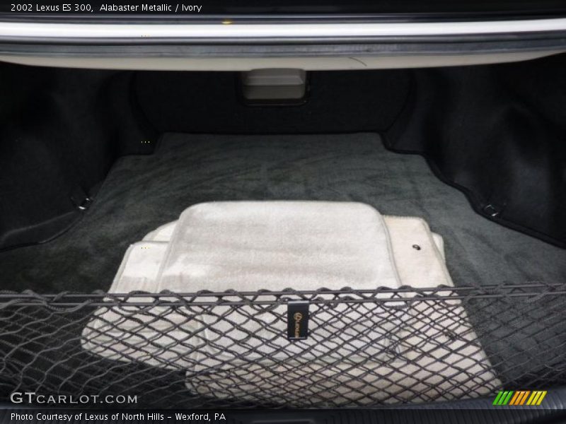 Alabaster Metallic / Ivory 2002 Lexus ES 300