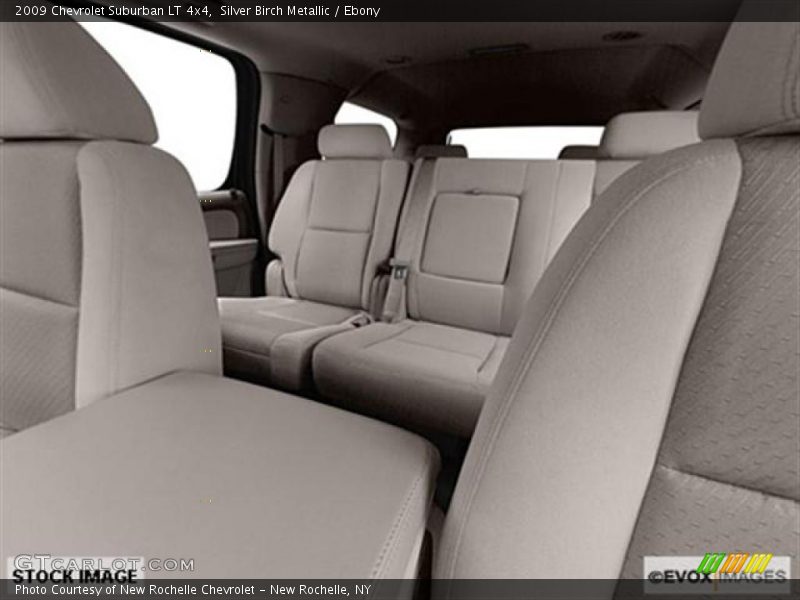 Silver Birch Metallic / Ebony 2009 Chevrolet Suburban LT 4x4