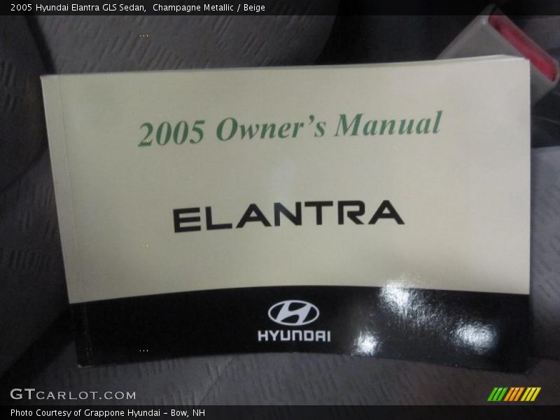 Champagne Metallic / Beige 2005 Hyundai Elantra GLS Sedan