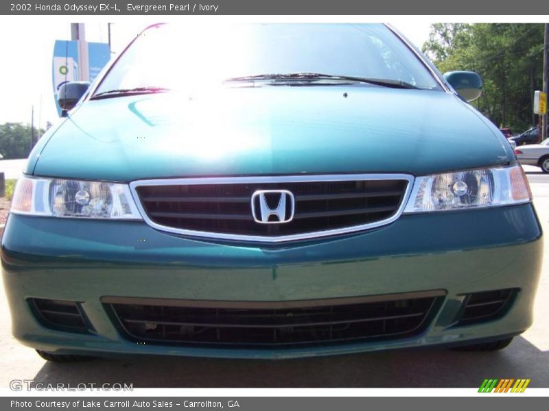 Evergreen Pearl / Ivory 2002 Honda Odyssey EX-L