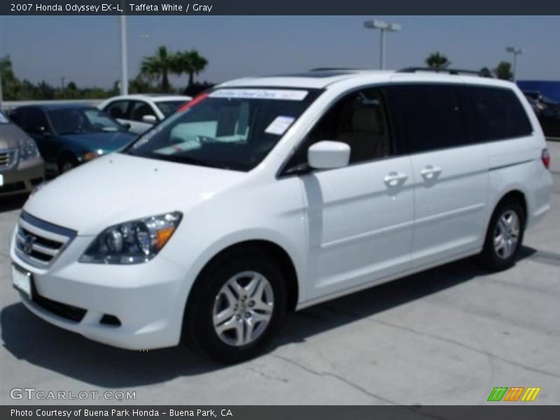 Taffeta White / Gray 2007 Honda Odyssey EX-L
