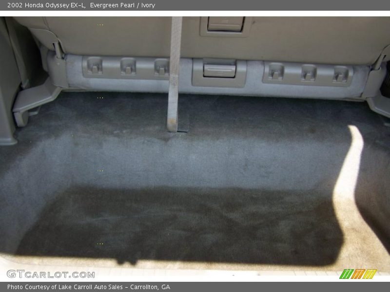 Evergreen Pearl / Ivory 2002 Honda Odyssey EX-L