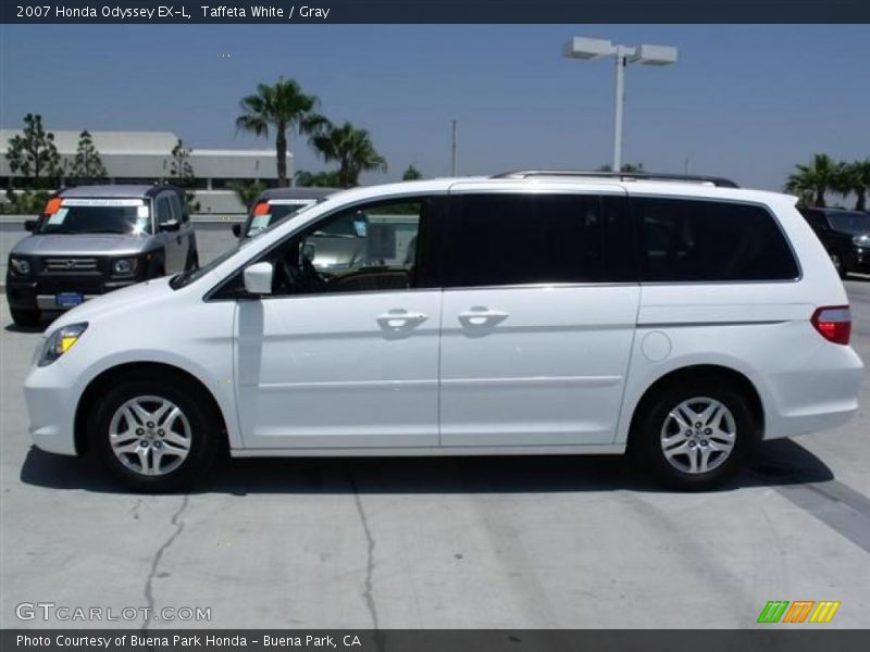 Taffeta White / Gray 2007 Honda Odyssey EX-L
