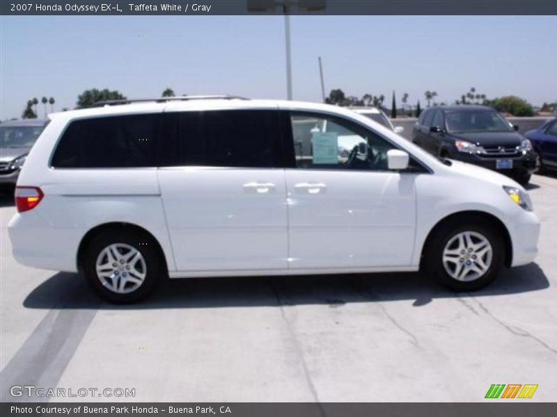 Taffeta White / Gray 2007 Honda Odyssey EX-L