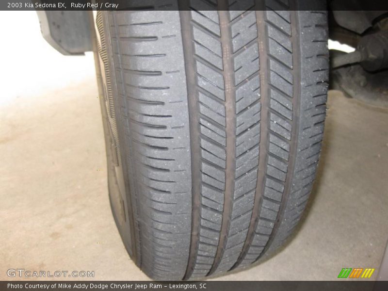 Ruby Red / Gray 2003 Kia Sedona EX