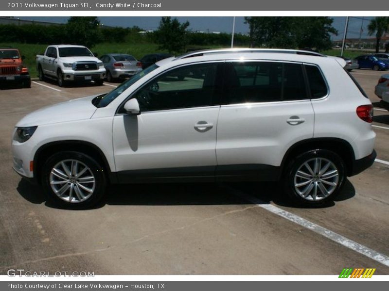 Candy White / Charcoal 2011 Volkswagen Tiguan SEL