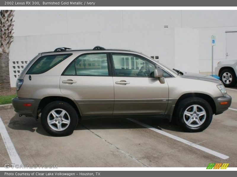 Burnished Gold Metallic / Ivory 2002 Lexus RX 300