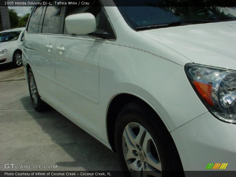Taffeta White / Gray 2005 Honda Odyssey EX-L