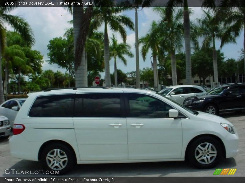 Taffeta White / Gray 2005 Honda Odyssey EX-L