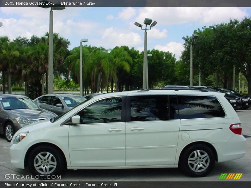 Taffeta White / Gray 2005 Honda Odyssey EX-L