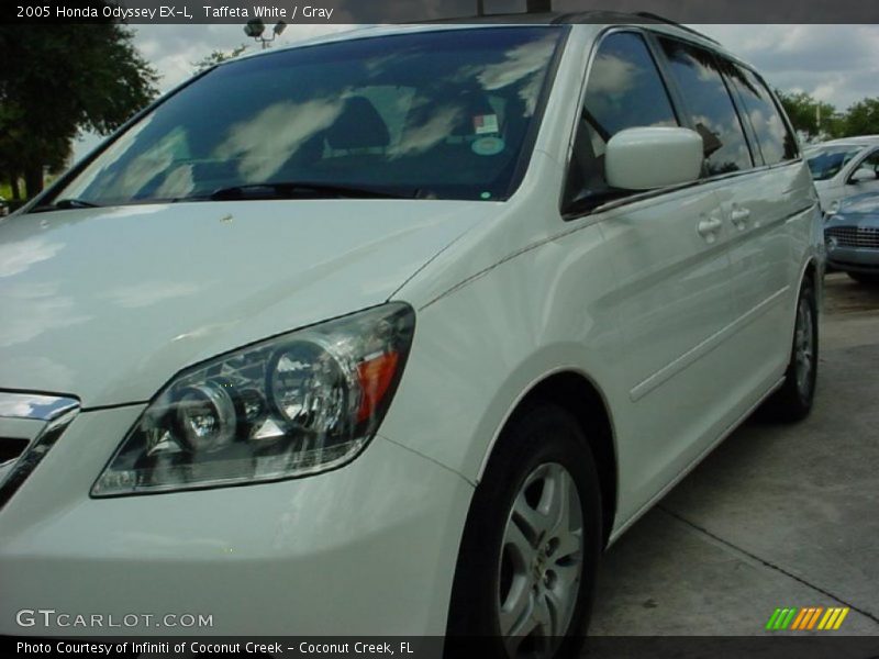 Taffeta White / Gray 2005 Honda Odyssey EX-L