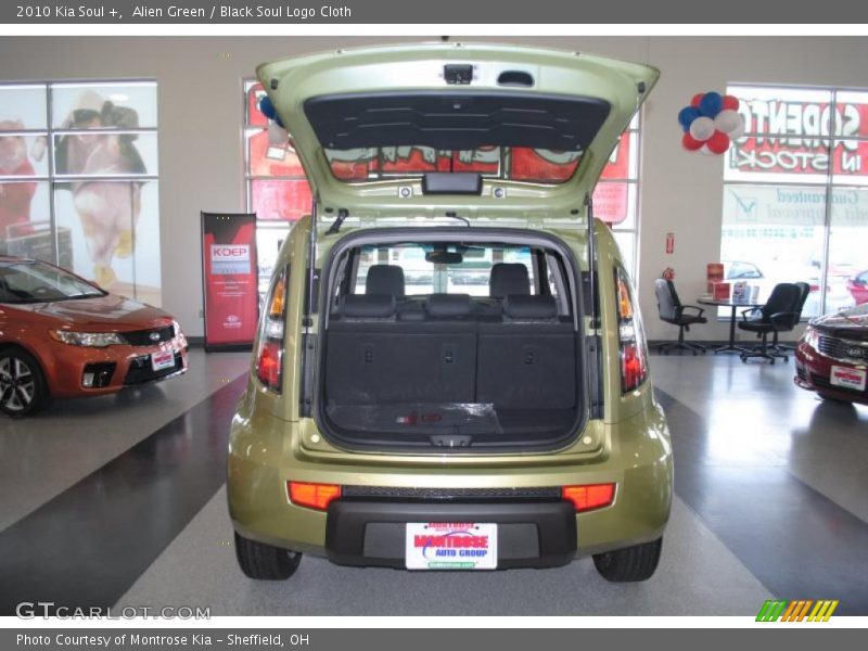 Alien Green / Black Soul Logo Cloth 2010 Kia Soul +