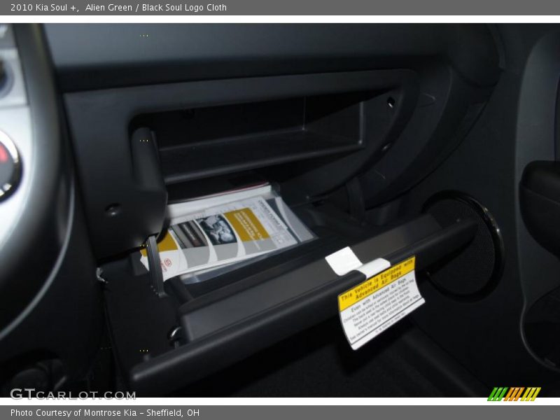 Alien Green / Black Soul Logo Cloth 2010 Kia Soul +