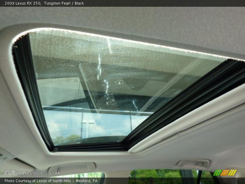 Tungsten Pearl / Black 2009 Lexus RX 350