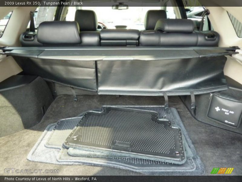 Tungsten Pearl / Black 2009 Lexus RX 350