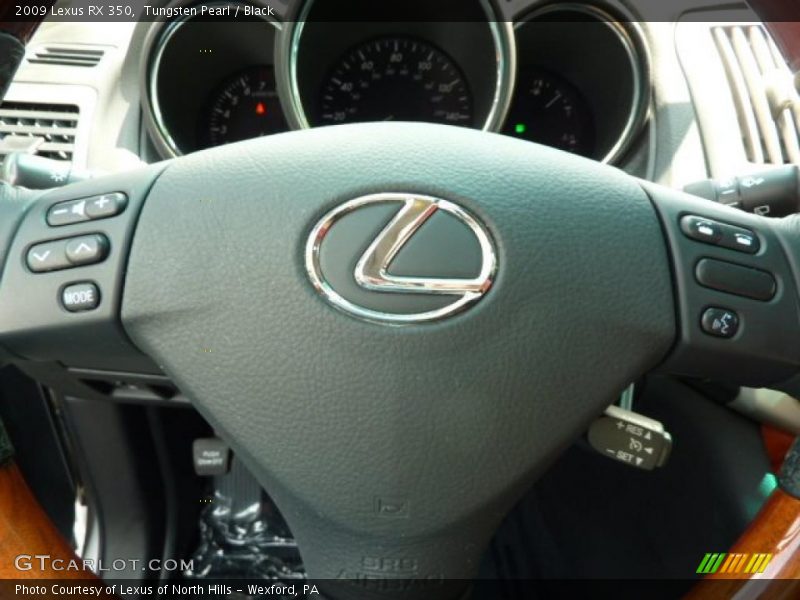 Tungsten Pearl / Black 2009 Lexus RX 350