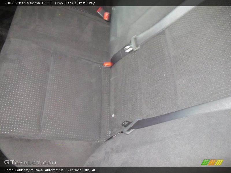 Onyx Black / Frost Gray 2004 Nissan Maxima 3.5 SE