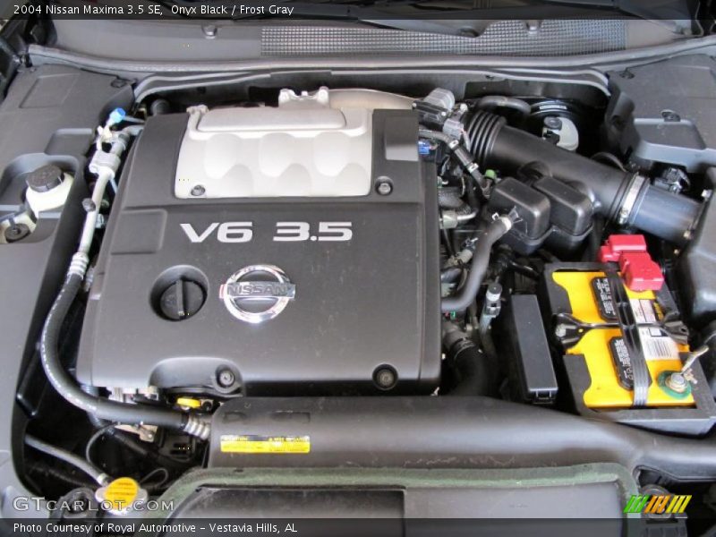 Onyx Black / Frost Gray 2004 Nissan Maxima 3.5 SE