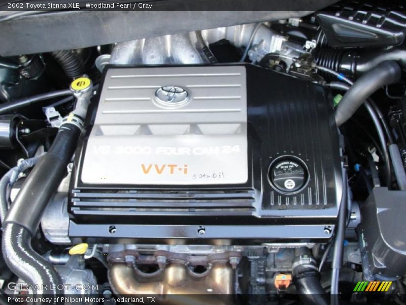 Woodland Pearl / Gray 2002 Toyota Sienna XLE