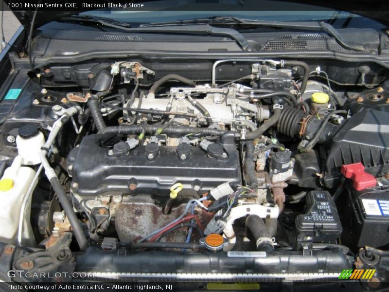 Blackout Black / Stone 2001 Nissan Sentra GXE
