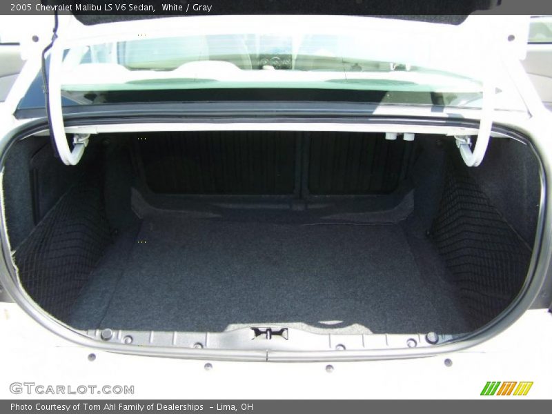 White / Gray 2005 Chevrolet Malibu LS V6 Sedan